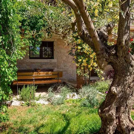 Hotel House Kovaci