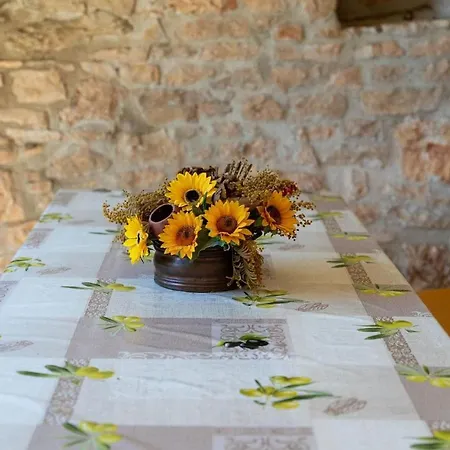 House Kovaci Hotel 4*